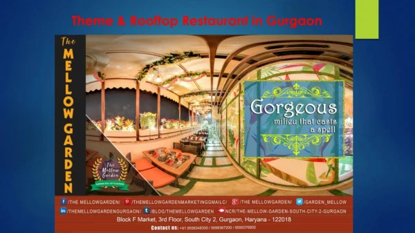 Best Rooftop Eatery in Gurgaon