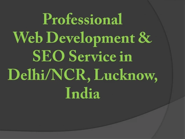 Professional Web Development & SEO Service in Delhi-NCR, Lucknow, India