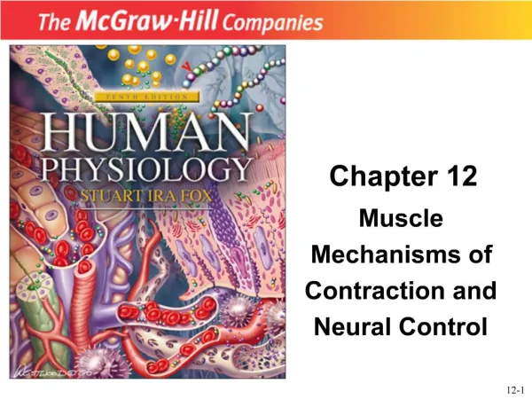 Muscle Mechanisms of Contraction and Neural Control