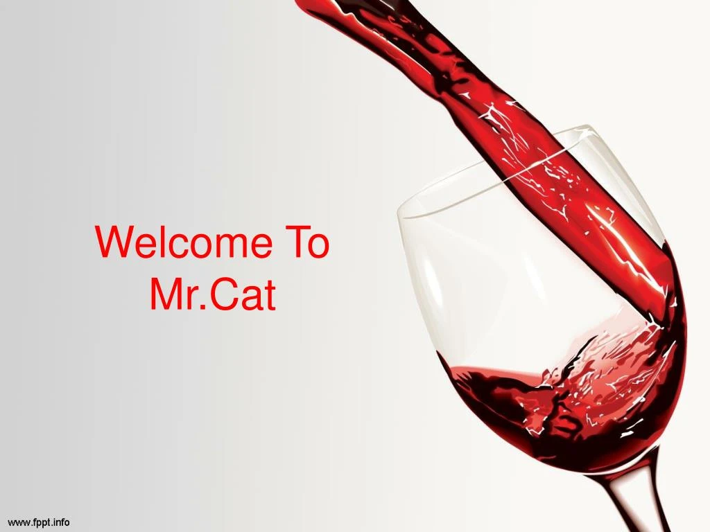 welcome to mr cat