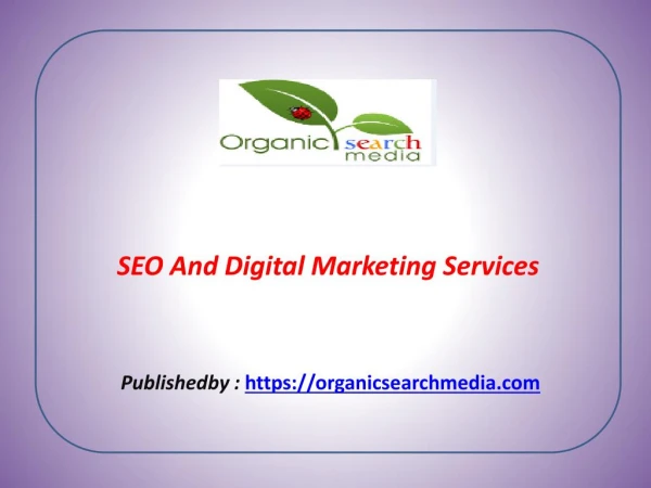 SEO And Digital Marketing Services
