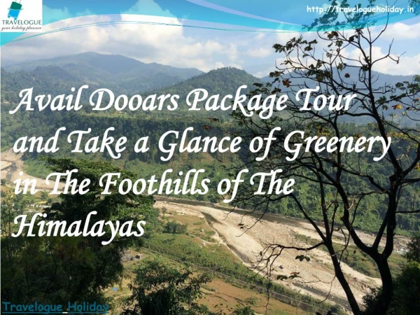 Avail Dooars Package Tour and Take a Glance of Greenery in The Foothills of The Himalayas