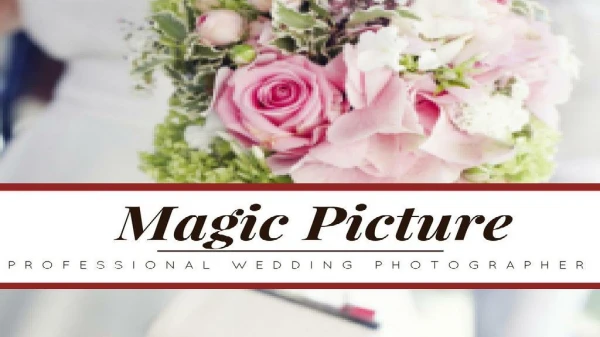 Want To Hire Professional Wedding Photographer?