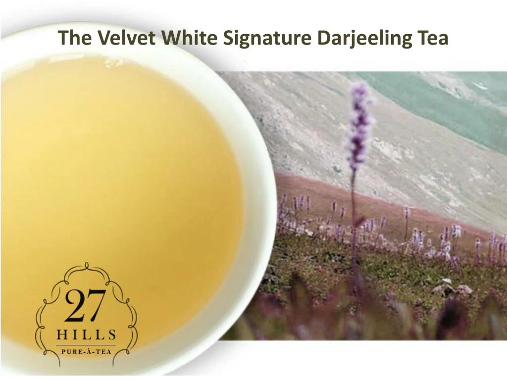 the velvet white signature darjeeling tea