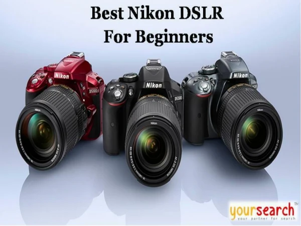Best Entry-Level DSLR From Nikon For Beginners