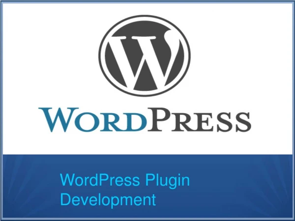 Find Exclusive WordPress Plugin Development Services in India