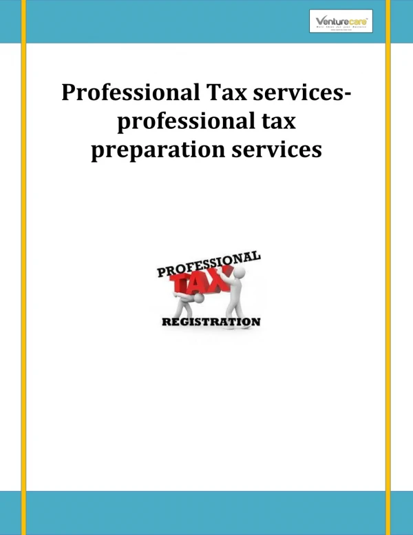 Professional Tax services-professional tax preparation services