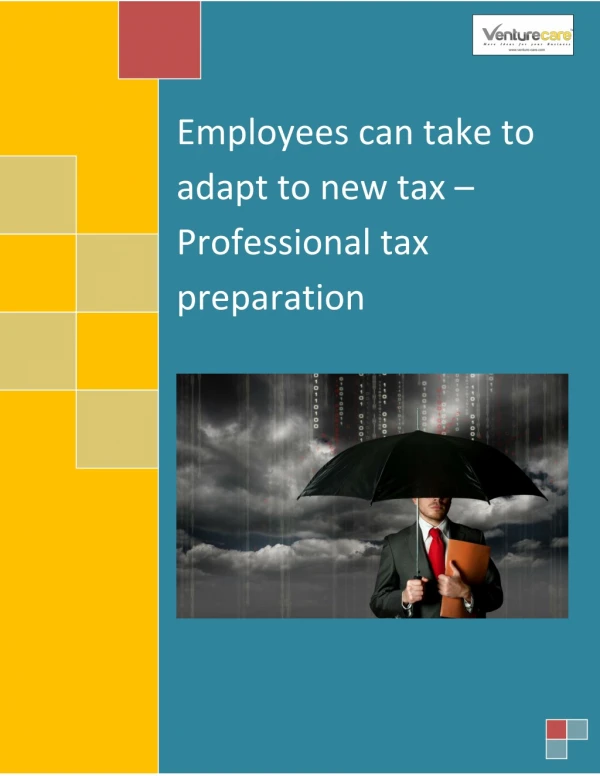 Professional Tax preparation|Apply for tax preparation services