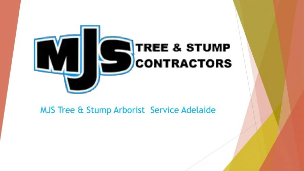 Arborist Adelaide Hills-Best Arborist Services in Adelaide by MJS Tree & Stump