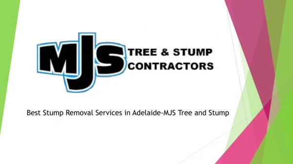 Best Stump Removal Services in Adelaide-MJS Tree and Stump