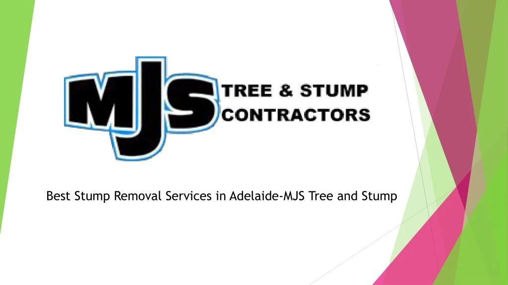 best stump removal services in adelaide mjs tree and stump