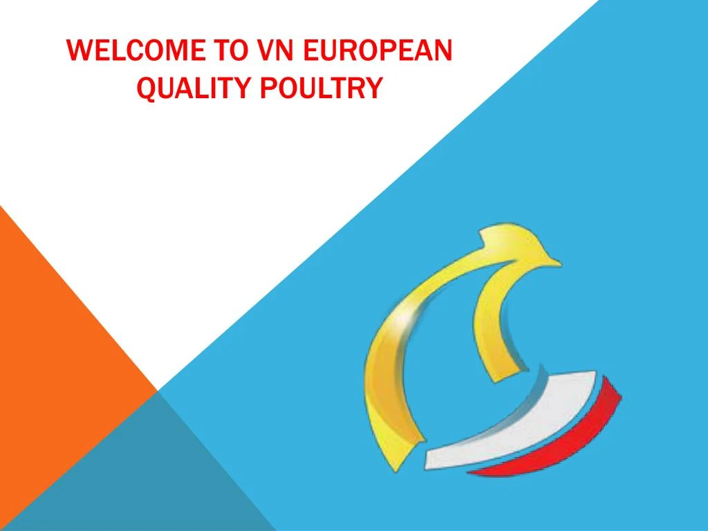 welcome to vn european quality poultry