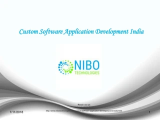 Custom Software Application Development India - NIBO Technologies - slide 1