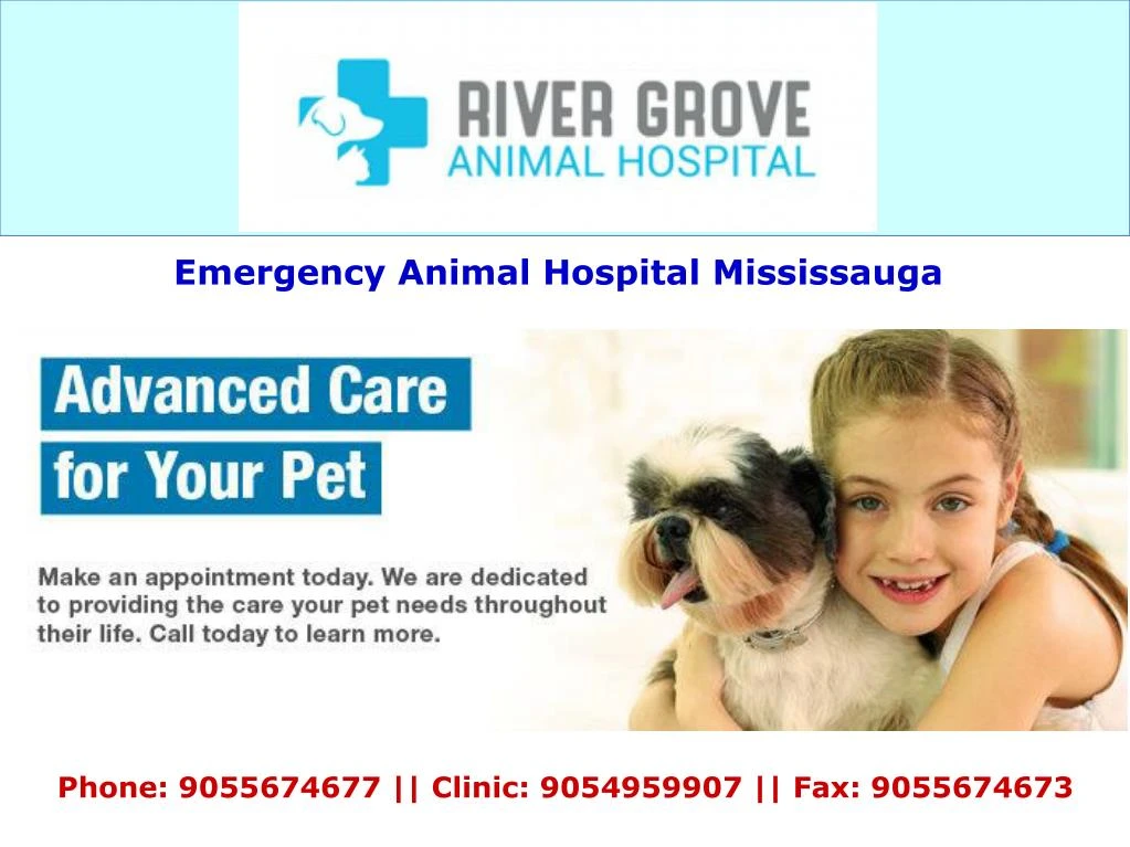 emergency animal hospital mississauga