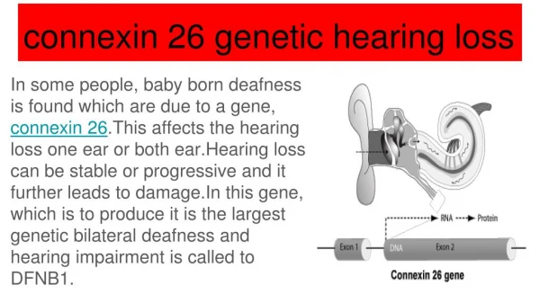 connexin 26 hearing loss gene