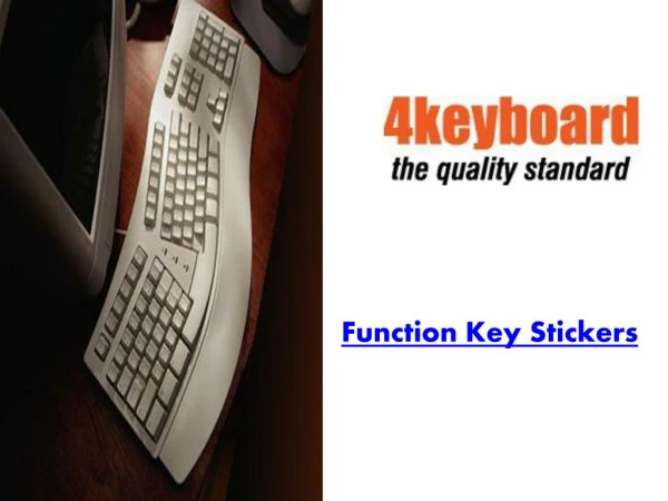 Function Key Stickers for Computer, Desktop and Mac Keyboard