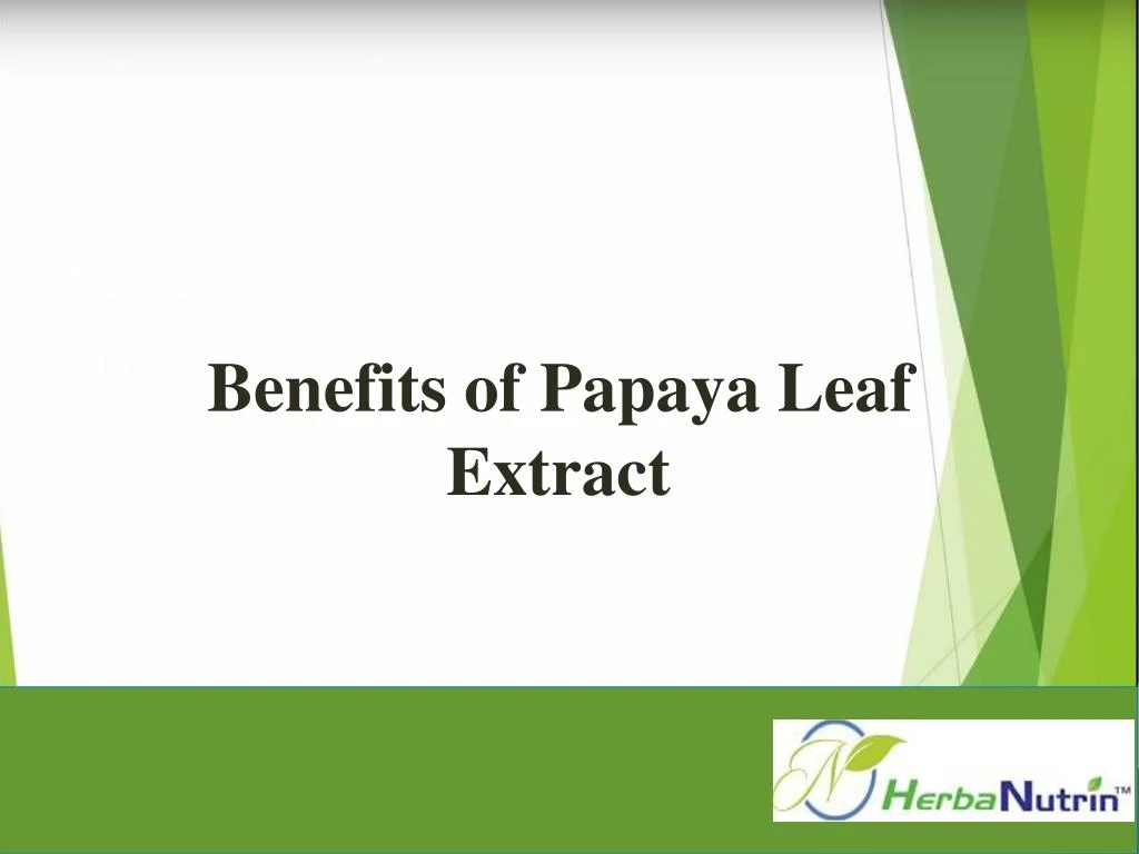 benefits of papaya leaf extract