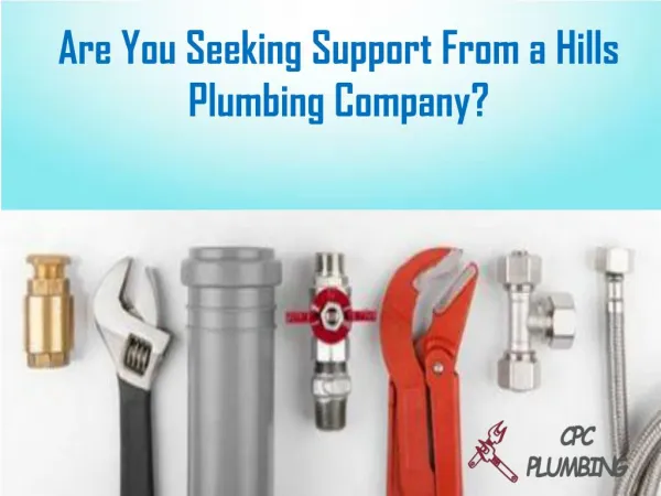 Are You Seeking Support From a Hills Plumbing Company?