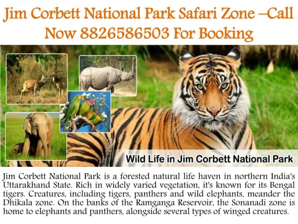 Call Now @8826586503 Jim Corbett Online Booking & Inquiry