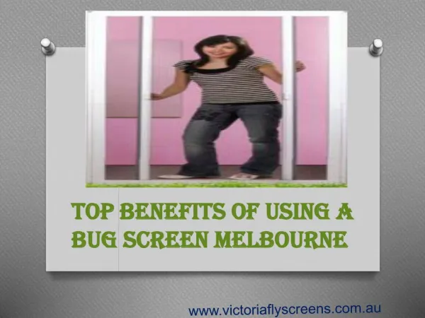 Top Benefits of Using a Bug Screen Melbourne