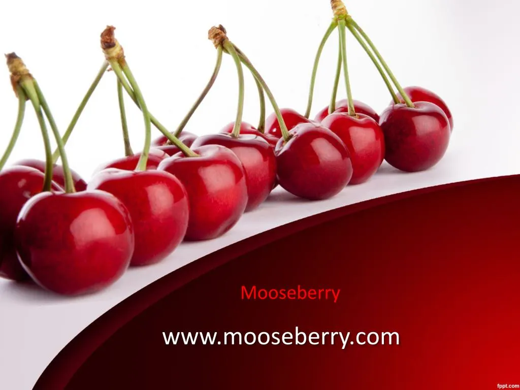 mooseberry