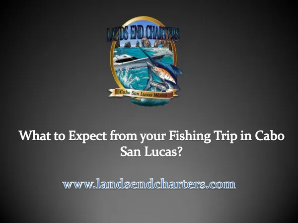 What to Expect from your Fishing Trip in Cabo San Lucas?