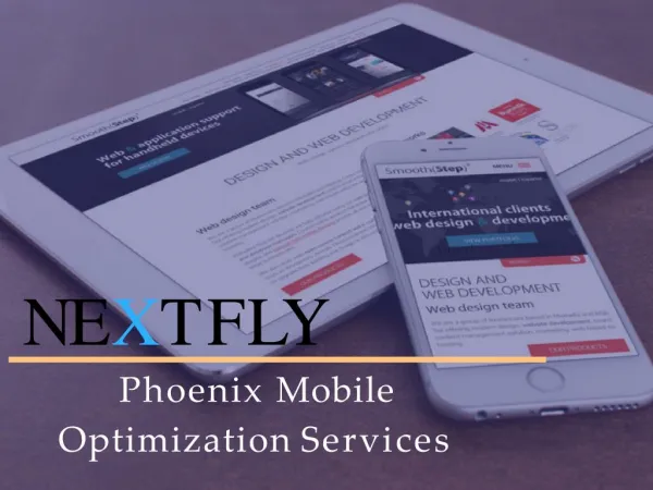 Phoenix Mobile Optimization Services