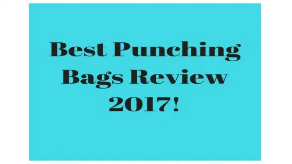 Best Punching Bag Review 2018