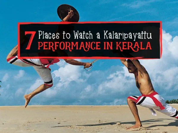 7-Places-to-Watch-a-Kalaripayattu-Performance-in-Kerala