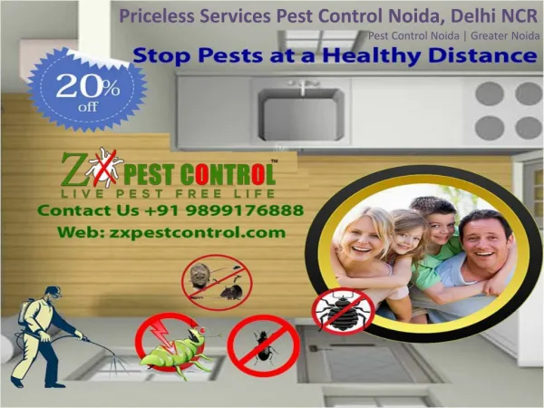 Priceless Services Pest Control Noida, Delhi NCR