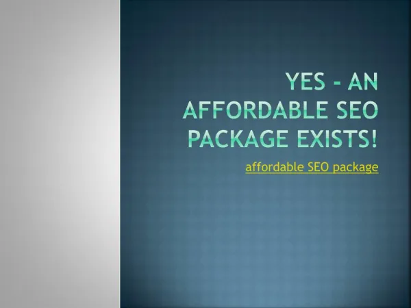 YES - An Affordable SEO Package Exists!