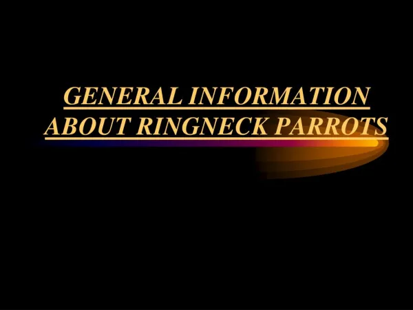 RINGNECK PARROTS - GENERAL INFORMATION