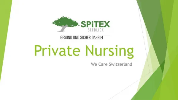 Altenpflege in Der Schweiz | Privat Spitex ZÃ¼rich | Spitex Seeblick Zurich