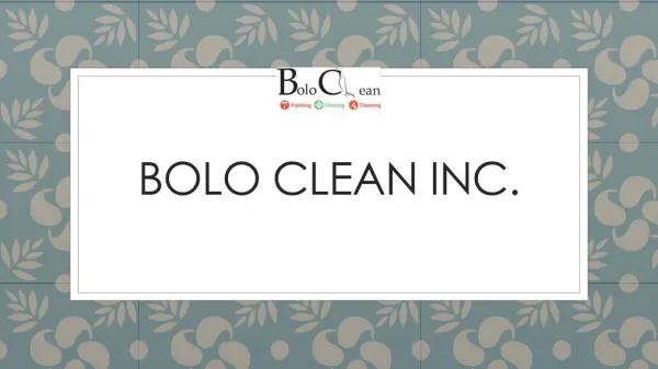 Bolo Clean Inc.