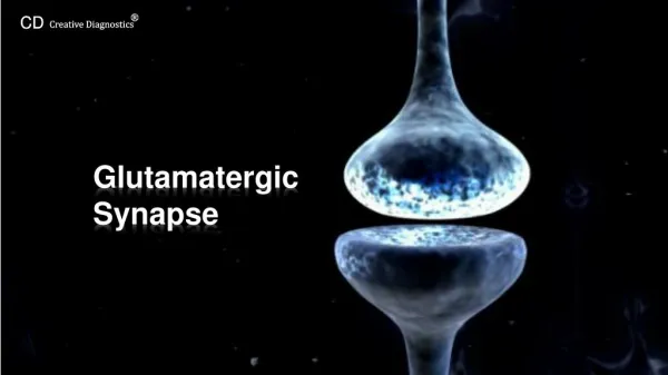 Glutamatergic-Synapse-Pathway