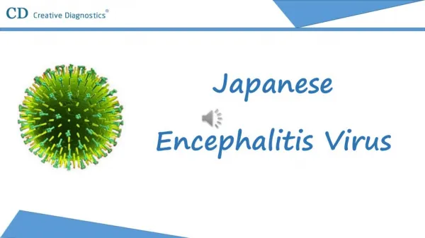 Japanese Encephalitis Virus