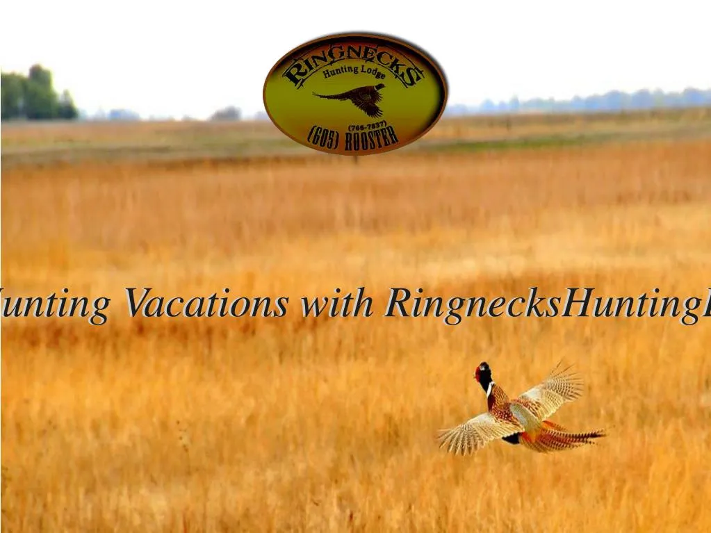 excellent pheasant hunting vacations with