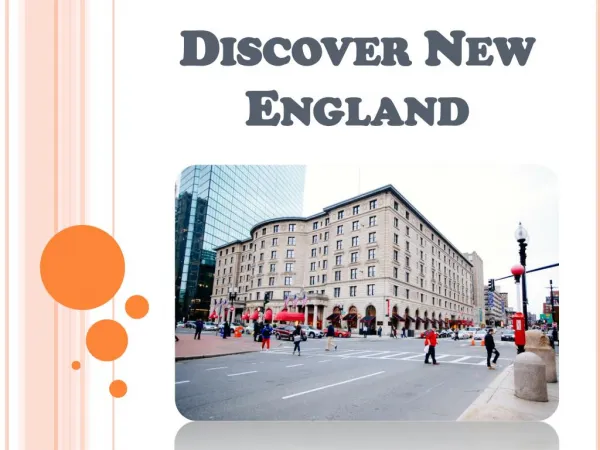 New England Travel Experience