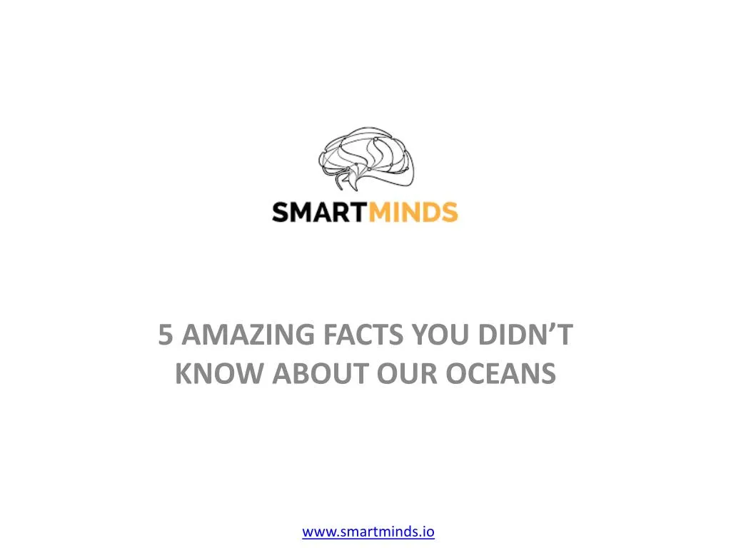 5 amazing facts you didn t know about our oceans