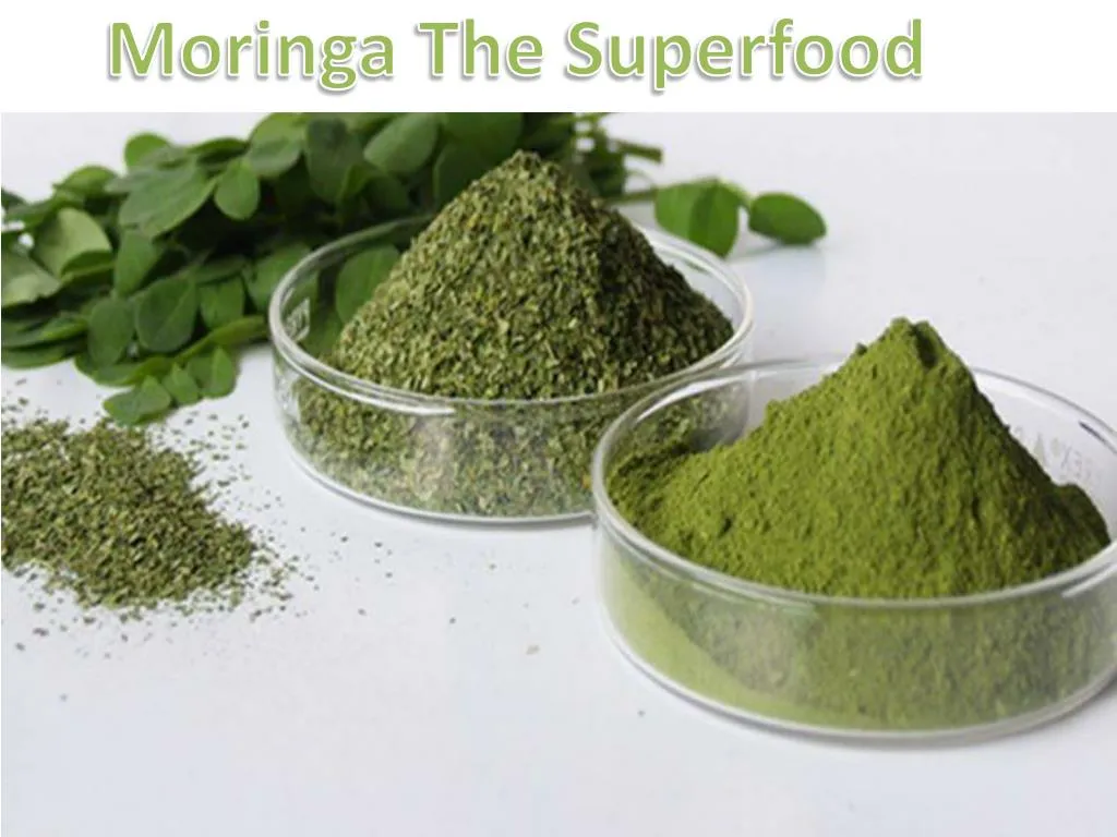 moringa the superfood
