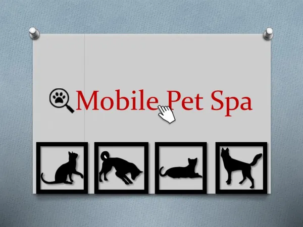 Mobile Pet Spa For Furry Friends