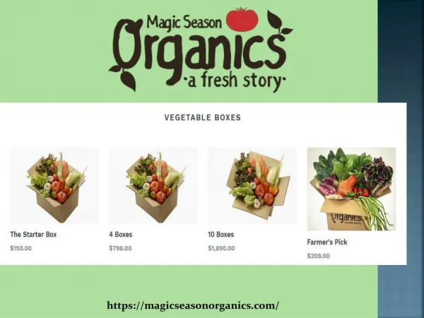 Organic Vegetables Hong Kong