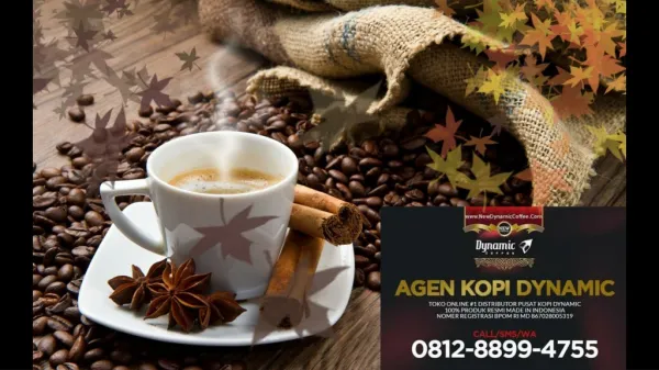 WA 0812-8899-4755 - Jual Kopi Dynamic Coffee Jakarta, Kopi Pria Jakarta