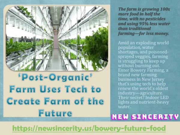 â€˜Post-Organicâ€™ Farm Uses Tech to Create Farm of the Future - New Sincerity