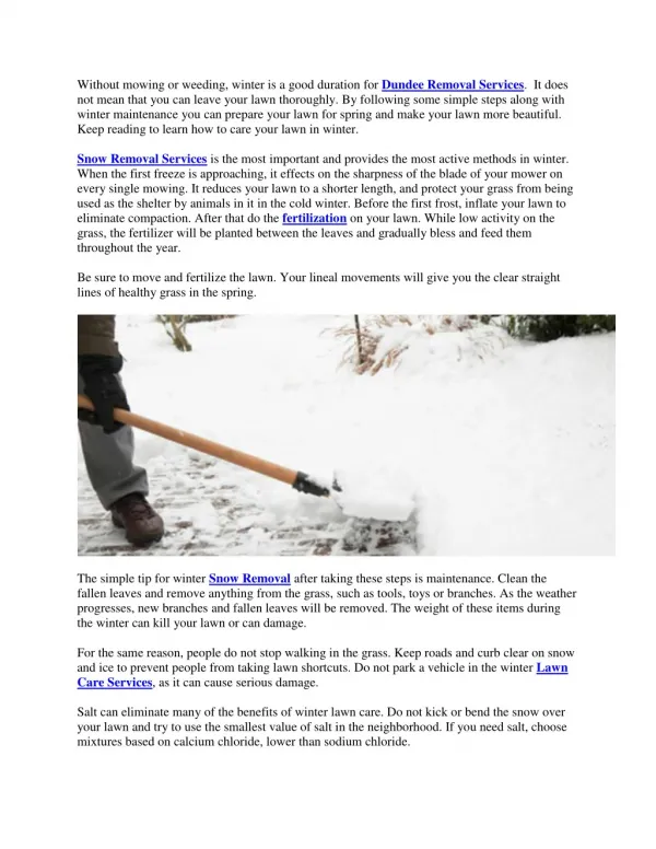 Lawn Care In Winter â€“ Tips On Caring For Winter Lawns