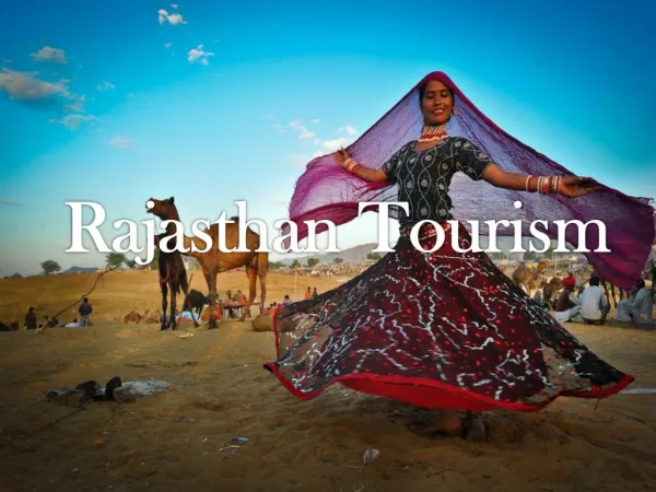 Rajasthan Tourism - Rajasthan City Day Tour