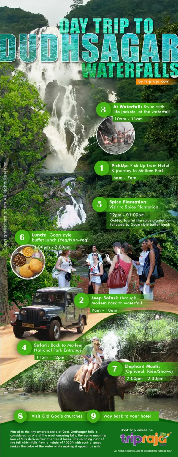 Dudhsagar Water falls, Jeep Booking & Spice Plantation Packages - Goa