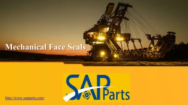 Mechanical Face Seals