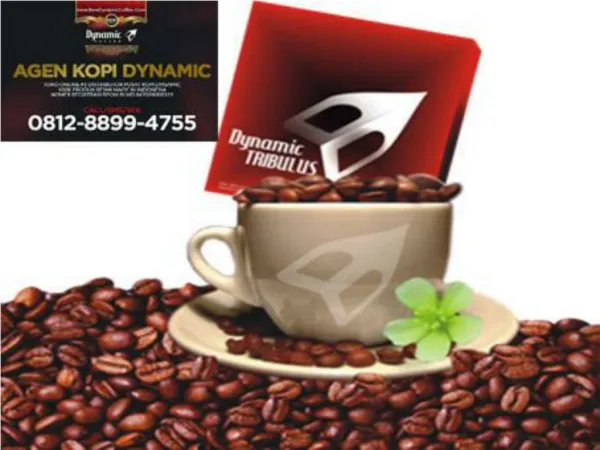 WA 0812-8899-4755 - Jual Kopi Dynamic Coffee, Kopi Pria Jakarta