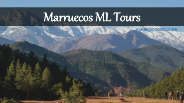 Tour Por Marruecos